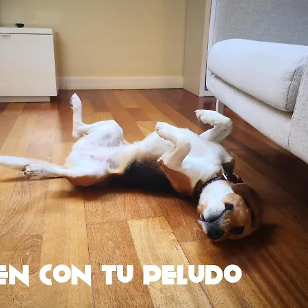 Las Ventanas Del Cielo Ávila