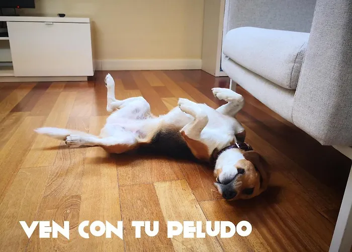 Las Ventanas Del Cielo Ávila